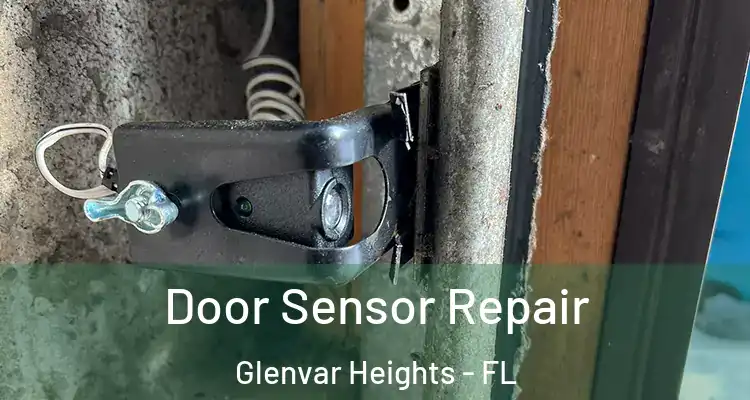 Door Sensor Repair Glenvar Heights - FL