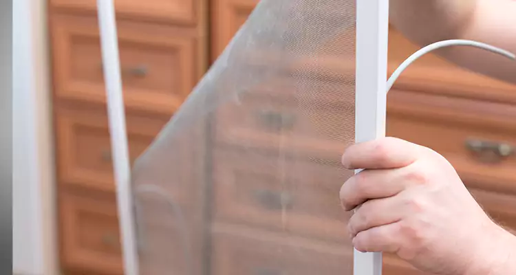 Privacy Mesh Screen Door Installation in Glenvar Heights, FL